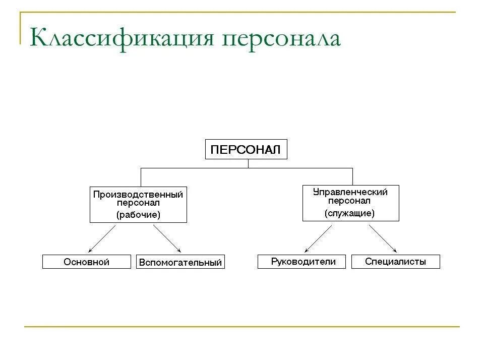 Основной персонал организации это