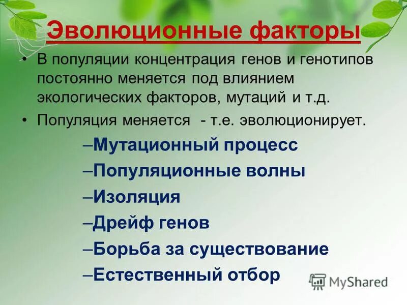 Элементарные эволюционные факторы изоляция