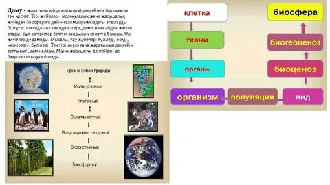 Кончают письки онлайн компиляция