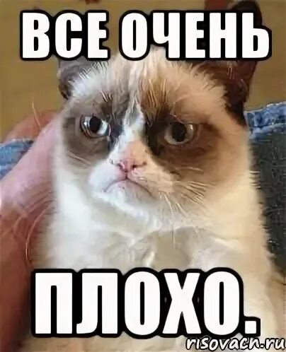 Все плохо мем