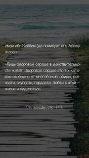 Сказал ибн
