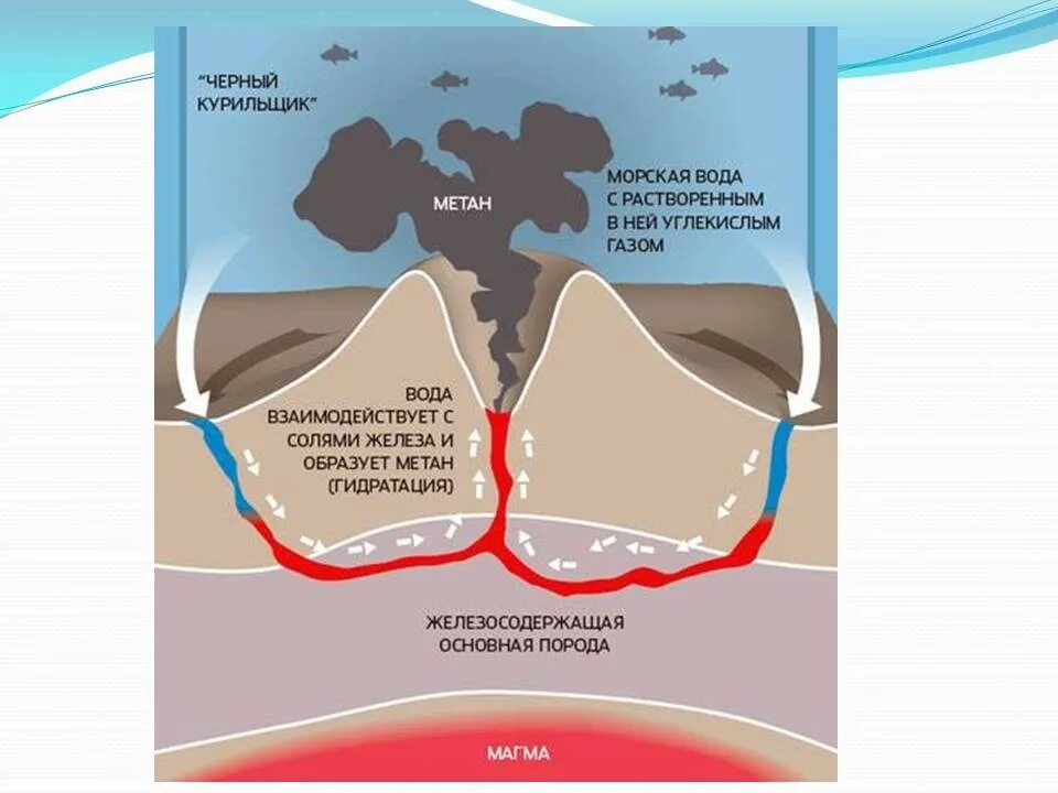 Морфоструктуры мирового океана. Вулканы в рифтовых зонах. Морфоструктуры дна океана. Морфоструктура дна мирового океана. Рельефы суши и дна океана