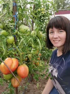 Огородник из рязани дзен последние