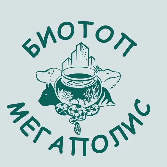 Биотоп амазонки. Биотоп неонов. Биотоп орехово. Аквариум биотоп африка. Биотоп астранотуса.