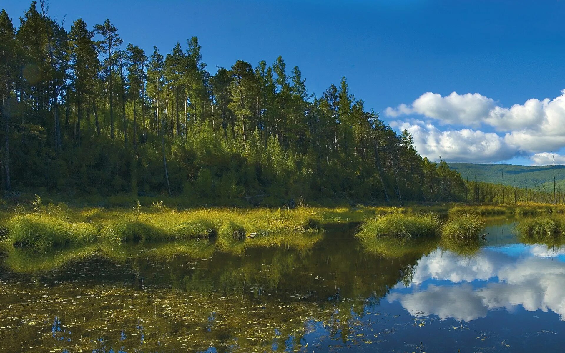 Природа сибири текст. Таежные просторы Западной Сибири. Сибирская природа. Пейзажи Западной Сибири. Природа Сибири реки.