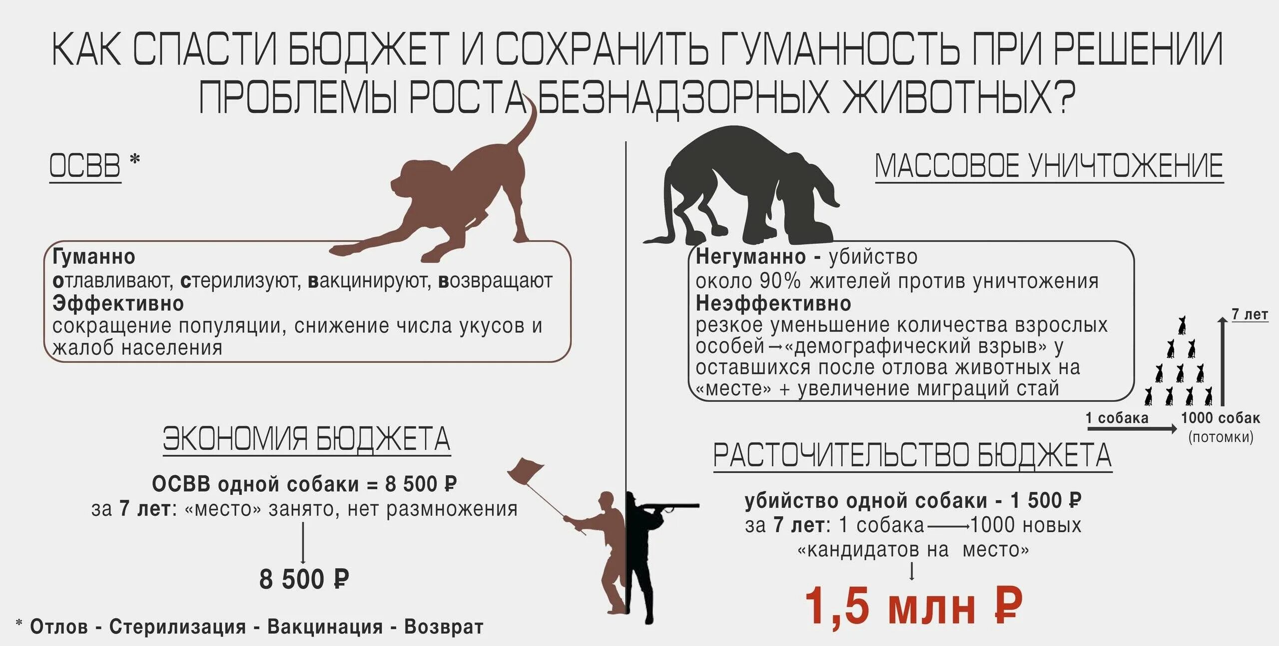 Я собак 1 час. Отлов стерилизация вакцинация возврат. отлов и стерилизация бездомных собак. количество бездомных собак. численность бездомных животных.