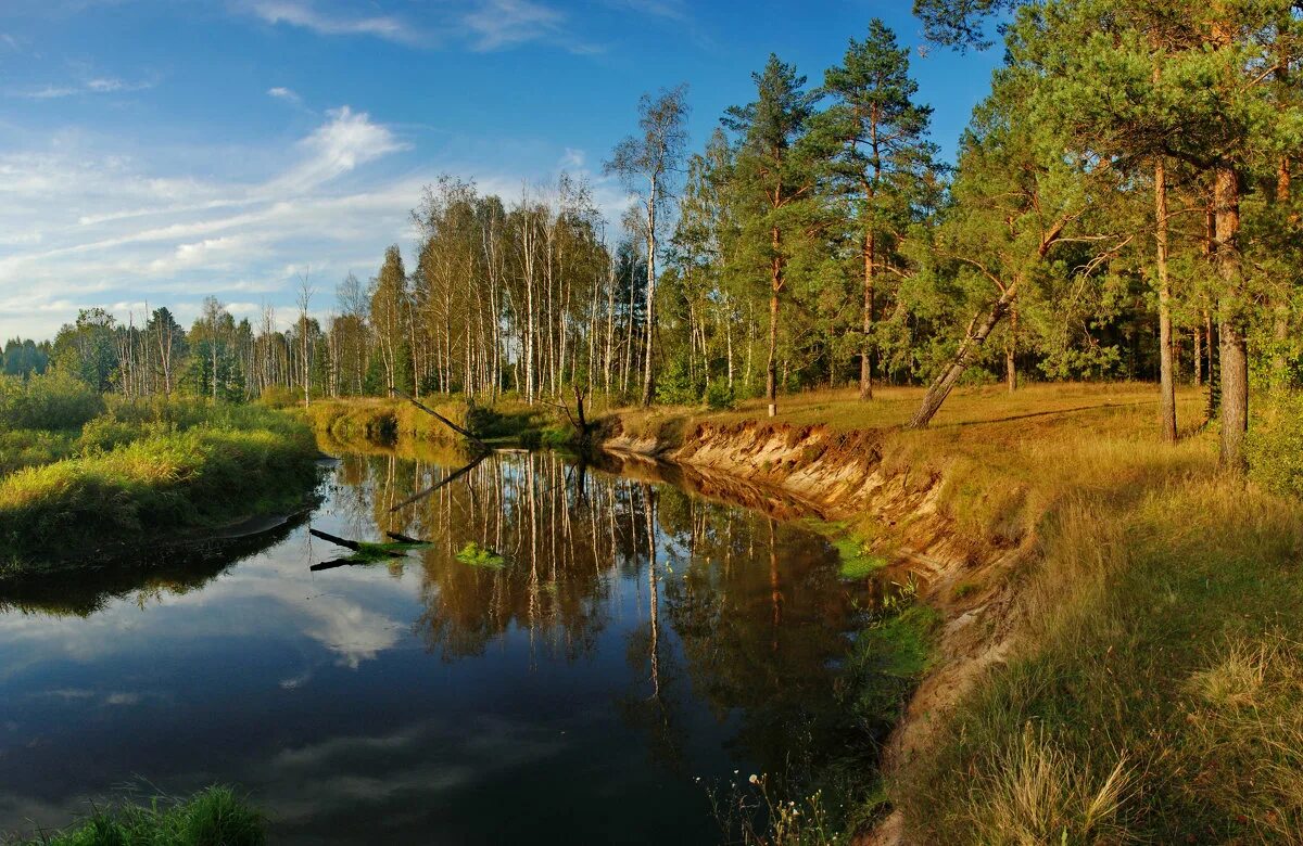 Река гусиная выборгский район. Река нерская анциферово. Национальный парк мещерский река гусь. Краса мещеры. Парк мещера гусь хрустальный.