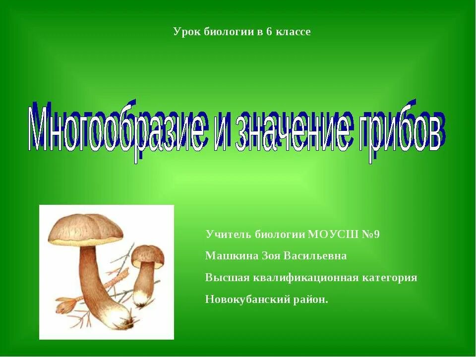 Многообразие и значение грибов. Грибы 6 класс биология. Царство грибов 6 класс. Проект многообразие грибов. Первые уроки по биологии