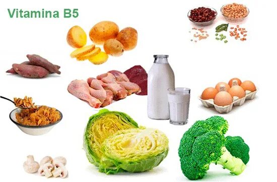 Источник b6. Витамин в5 пантотеновая кислота в продуктах. Витамины группы б5. Продукты содержащие витамин б5. Пантотеновая кислота источники.