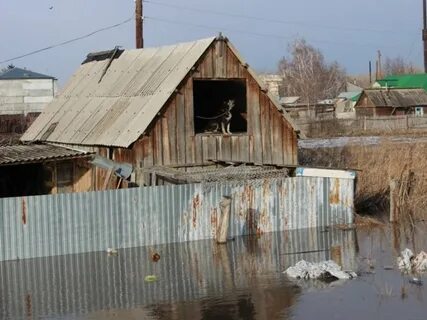 Затопленные районы алтайского края