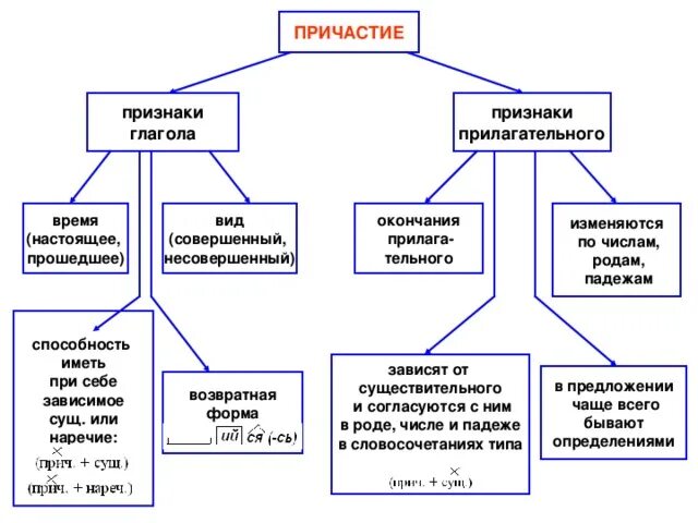 Краткие и полные причастия