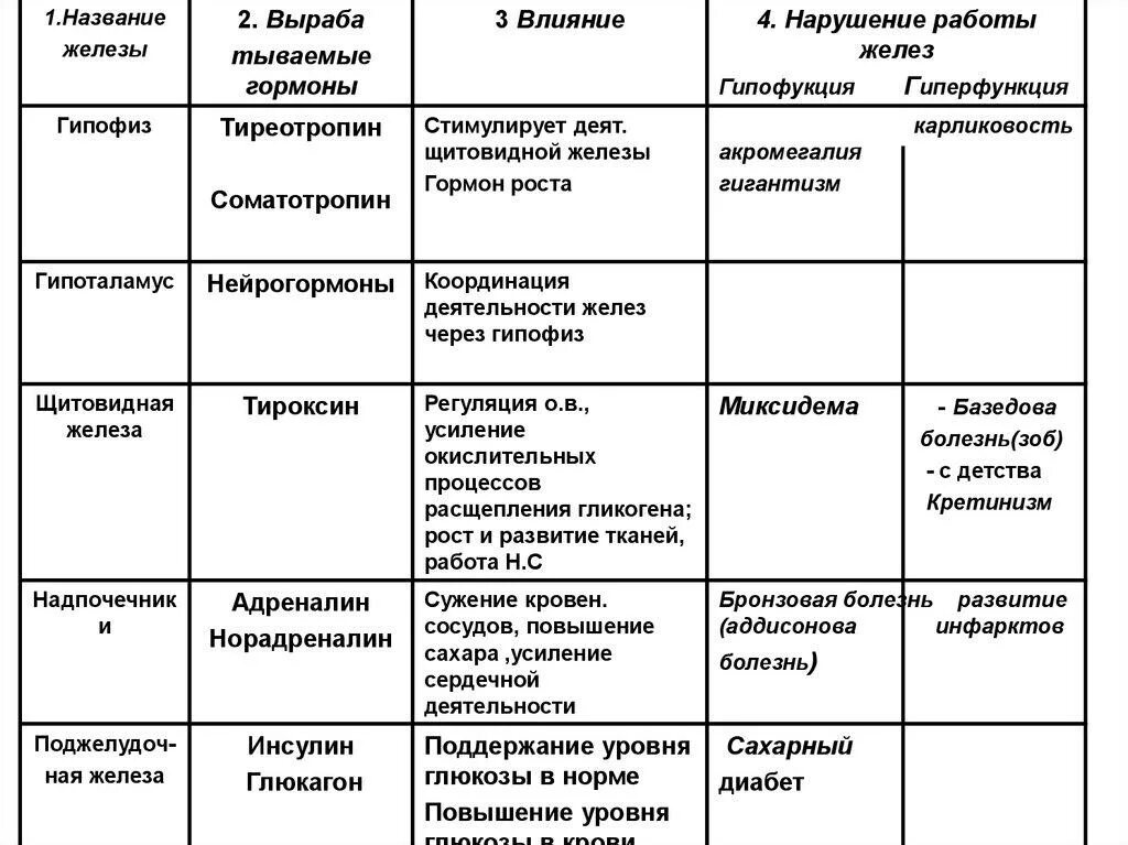 Гипофиз тип железы таблица Картинки ЭНДОКРИННАЯ СИСТЕМА ТАБЛИЦА