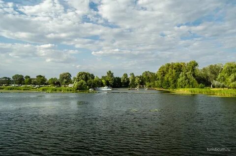 Гагаринский энгельс