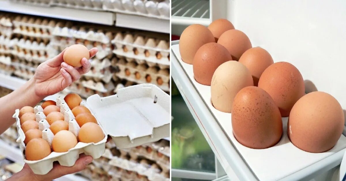 Яйца лучше купить. Яйца в магазине. Яйца покупные. Витрина с яйцами. Яйцо куриное магазинное.