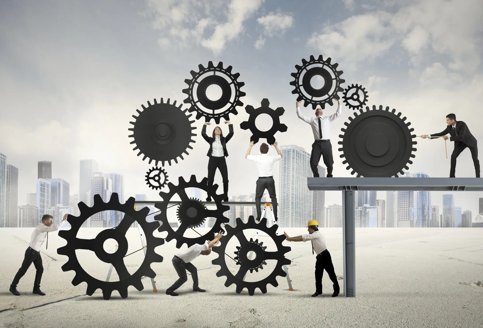Organization performance