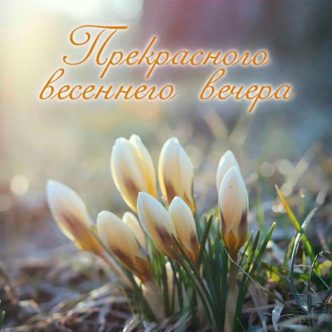 Доброе утро весеннего воскресенья картинки с пожеланиями. Доброго весеннего дня. хорошего воскресного дня.