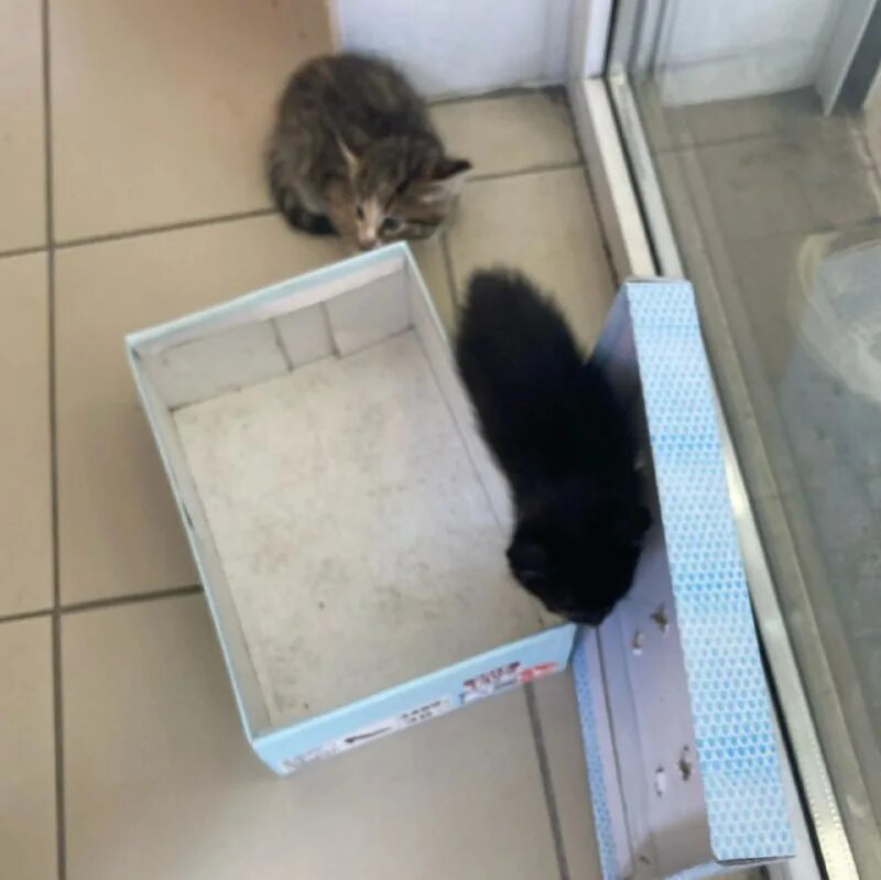 дари добро сухой. добросух. дари добро сухой.