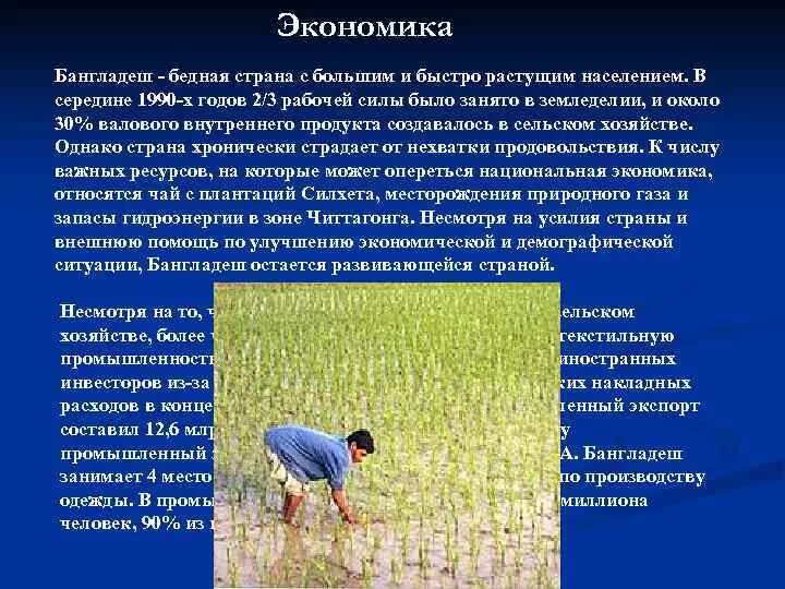 Довольно быстро растет