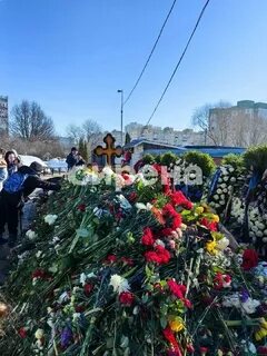 Фото могилы навального сегодня