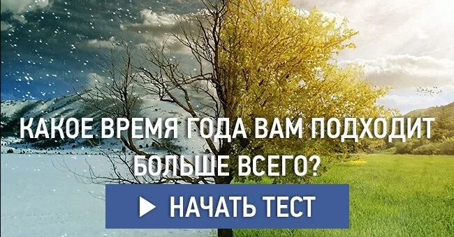 Какое время года любят больше всего. Какое время года вам больше. Какое время года любишь больше всего. Какое время года вы любите. Какое время года вам Нравится.