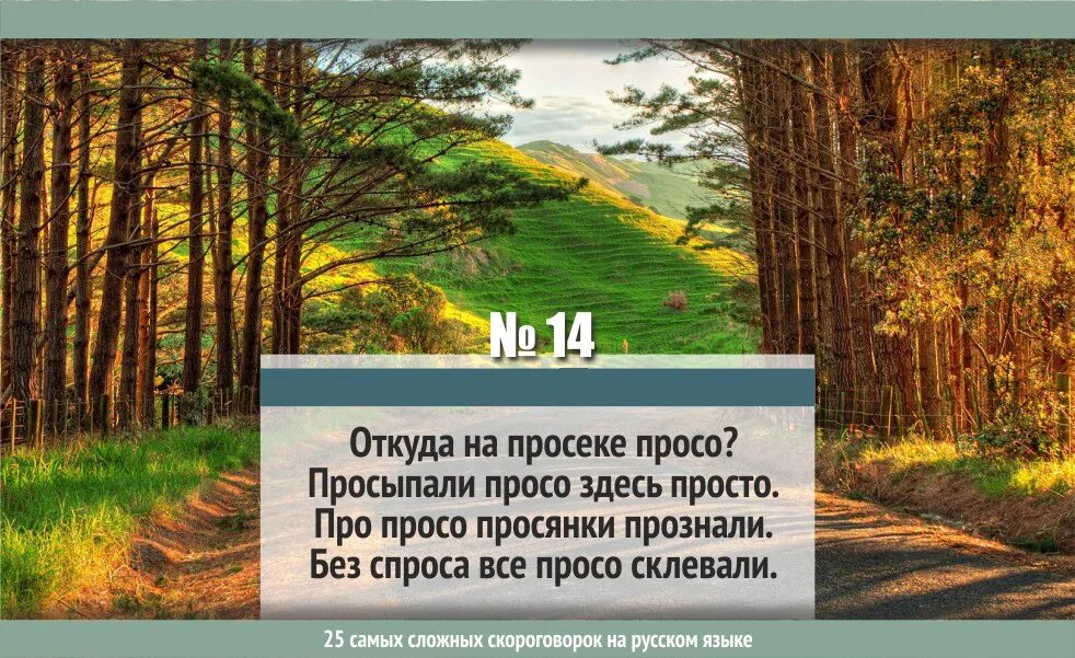 Скороговорки сложные. 25 Самых сложных скороговорок на русском. Самая сложная русская скороговорка. Топ 5 самых сложных скороговорок.