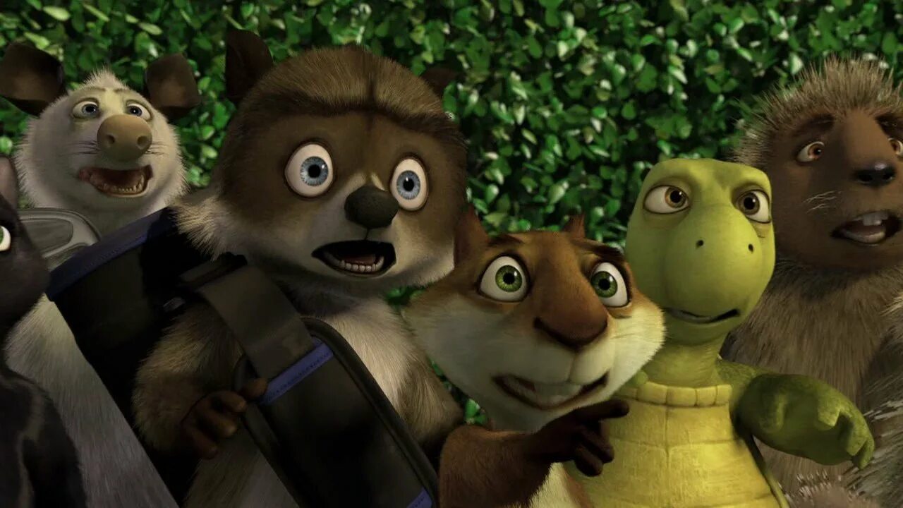 Черепаха белка. Черепаха белка