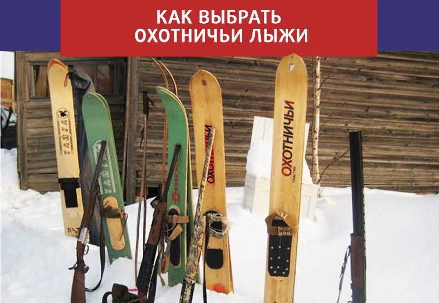 Лыжи из какого дерева. Лыжи из какого дерева