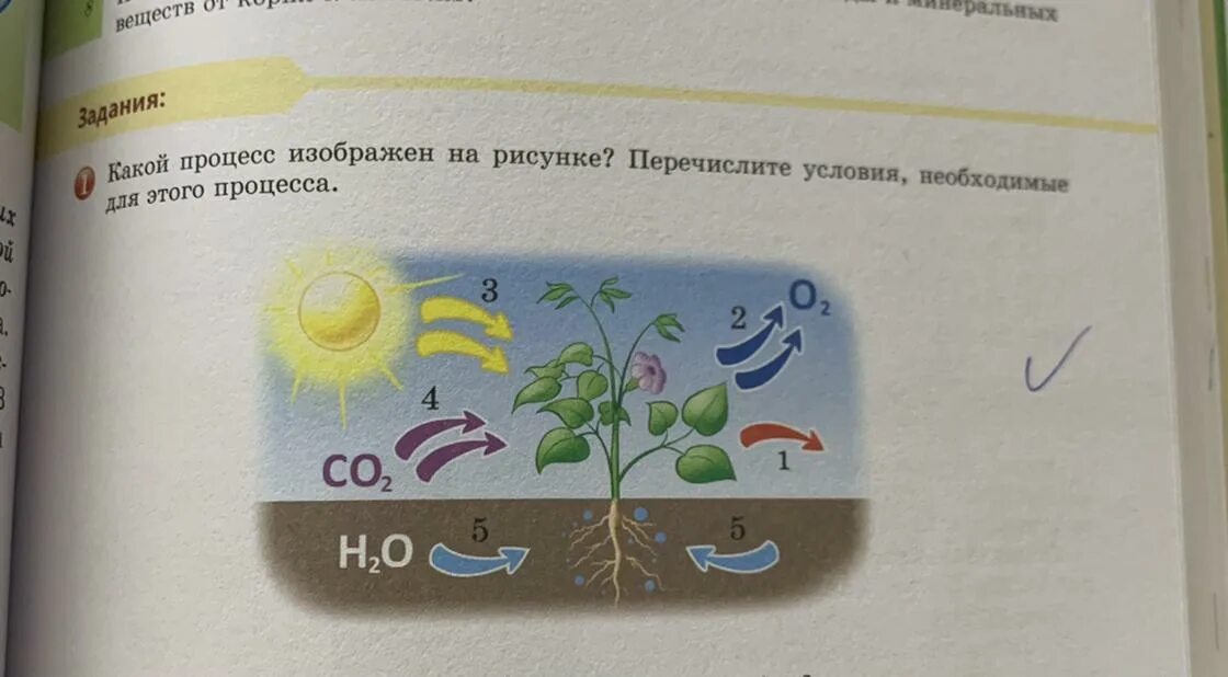 Определите какой процесс изображен на рисунке. Определите какой процесс изображен на рисунке