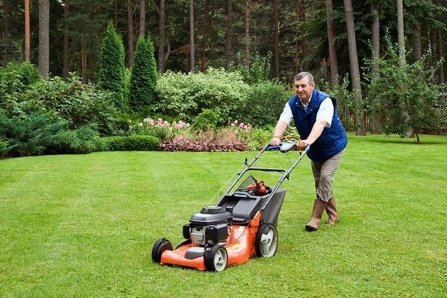 Стрижка газона. Подстричь газон. Триммер alpina tb 435 hd. Подстричь газон. Стрижка газона.