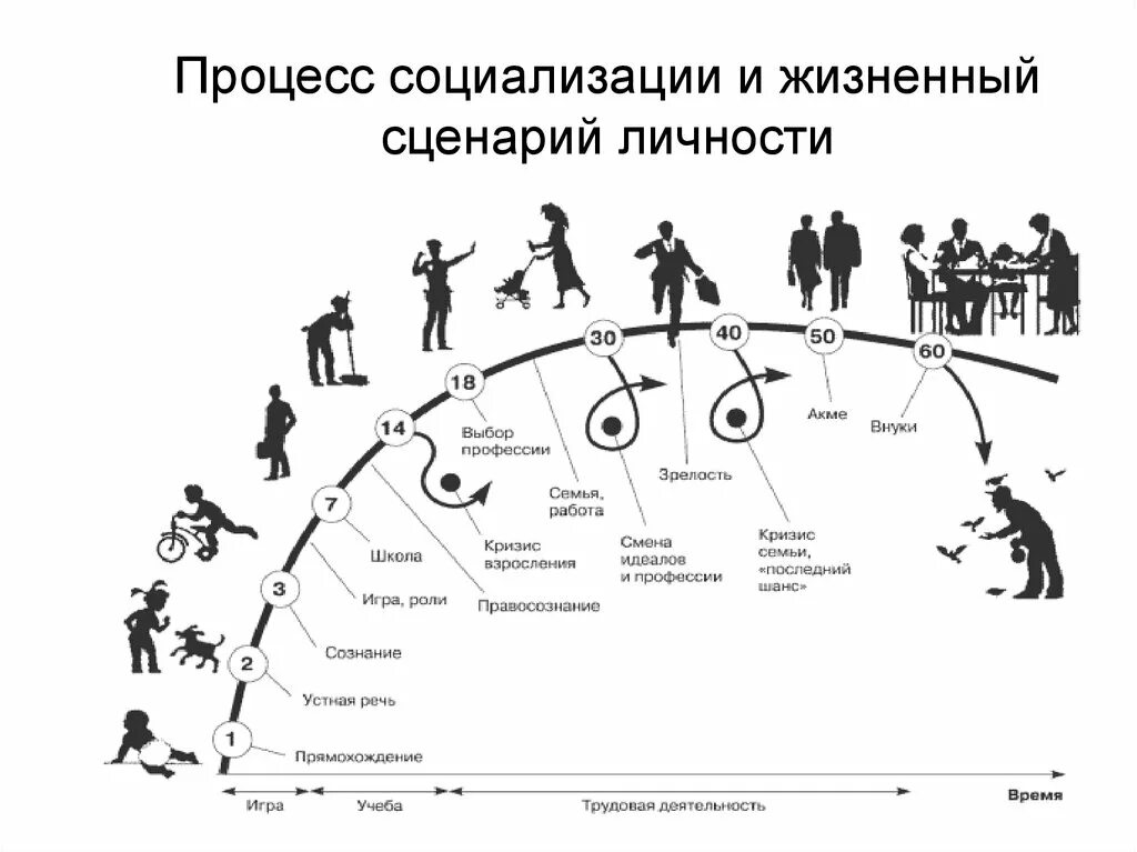 Сценарий 4 роли. Схема процесса социализации личности. Процесс социализации и жизненный сценарий личности. Жизненный путь человека циклы развития. Жизненный сценарий личности.