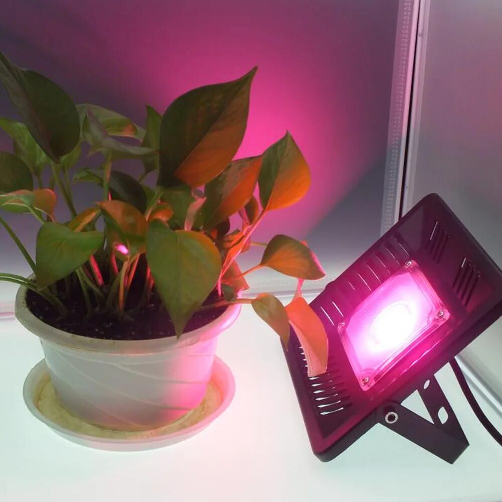 Освещение для растений. Ac220v 50w led grow Lamp полный спектр COB расти наводнение. Подсветка для комнатных растений. Led прожектор для растений. Комнатные цветы с подсветкой.