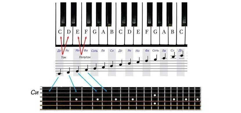 Полутон в музыке. Тон полутон. Полутон полутон тон. Тон полутон на гитаре. Тон полутон сольфеджио.