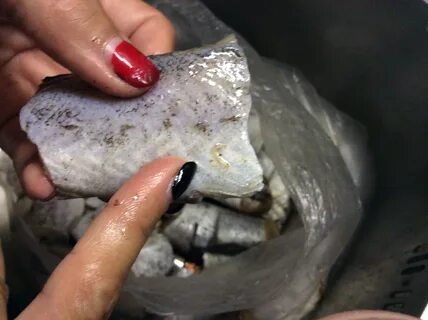 Замороженные черви