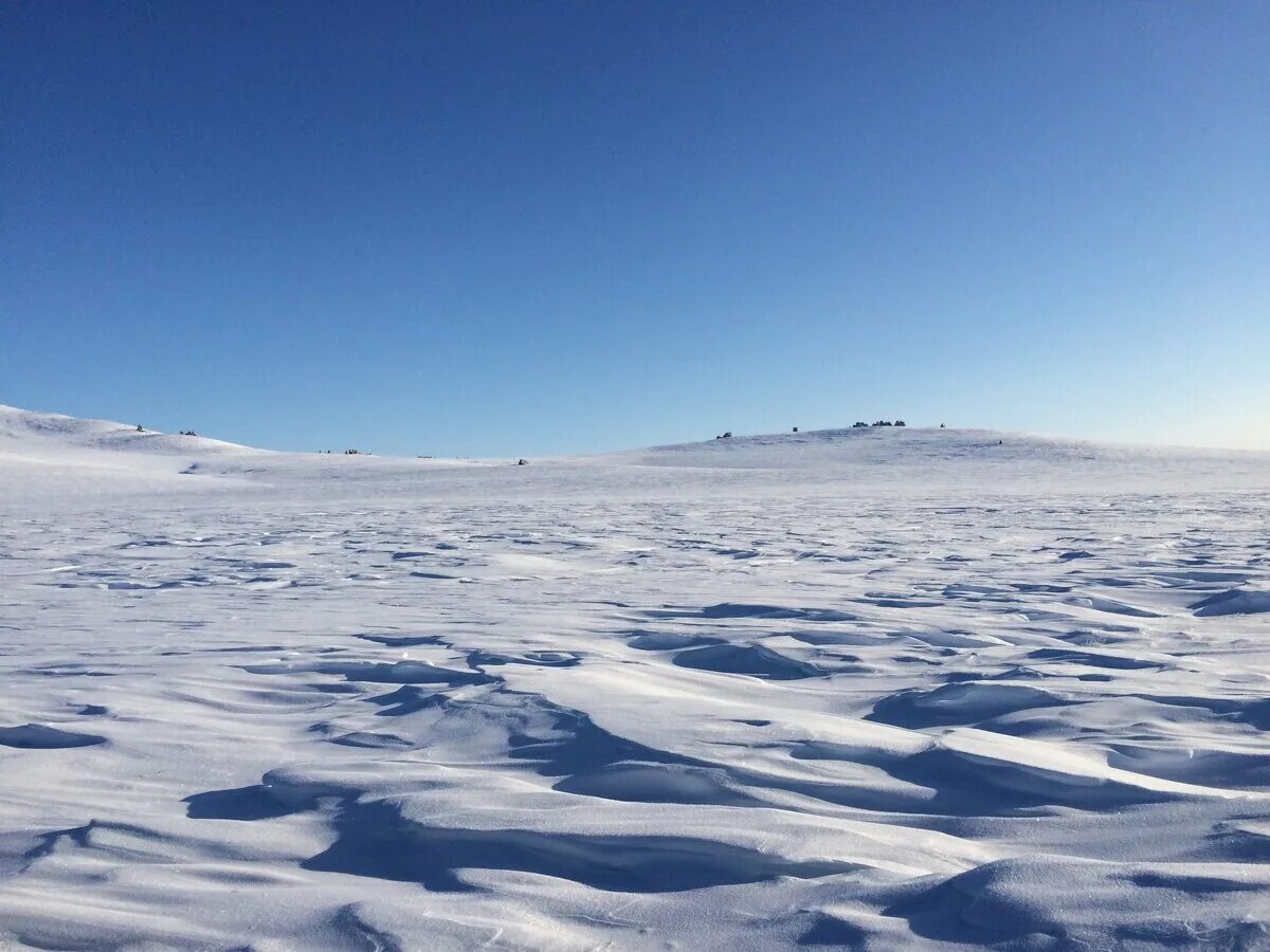 Арктическая пустыня расположена. Описание зоны арктических пустынь. Арктическая пустыня презентация. Зона арктических пустынь антарктида. Арктичеческие пустыни.