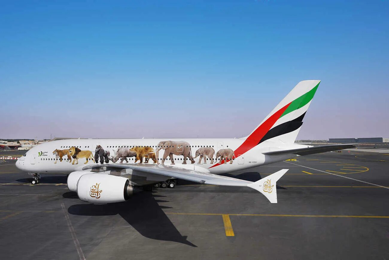 Самые интересные самолеты. Ливреи самолетов а-380 Emirates. Эмирейтс а380 ливреи. Emirates a-380 в спецливрее. А380 United.