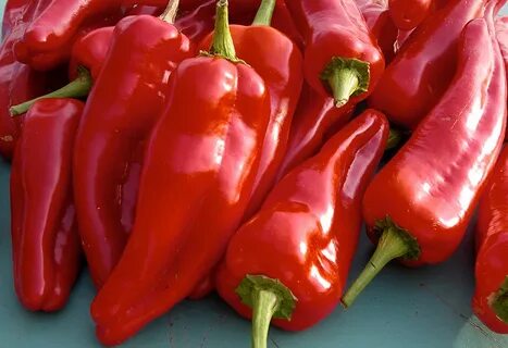 Red pepper baby