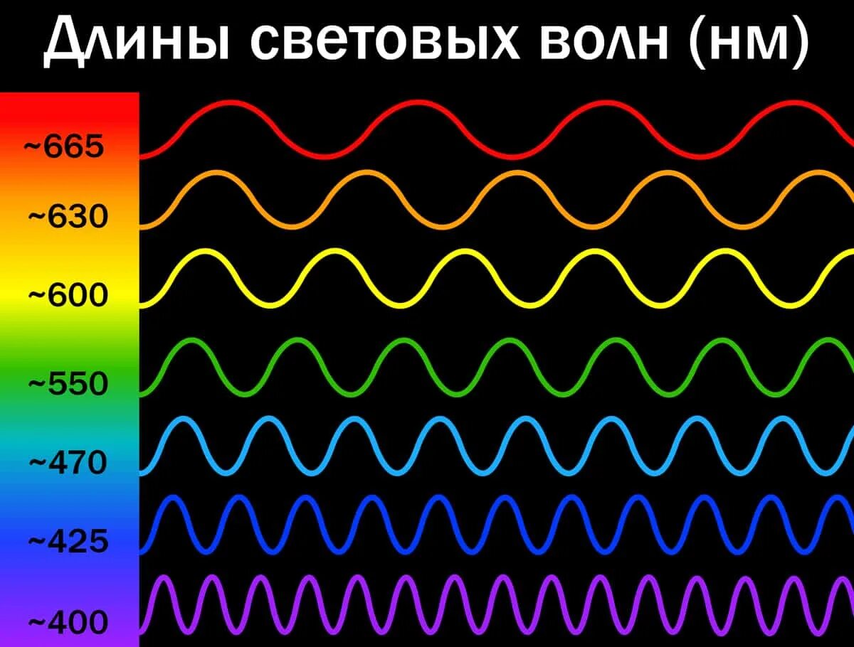 Длина световой волны фиолетового цвета. Длина световой волны. Длина волны цвета. Длина световой волны и цвет. Цвета по длинам волн.