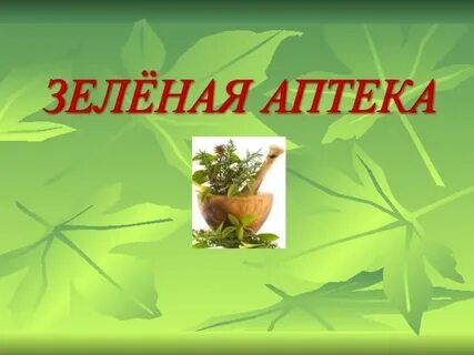 Картинки зеленая аптека