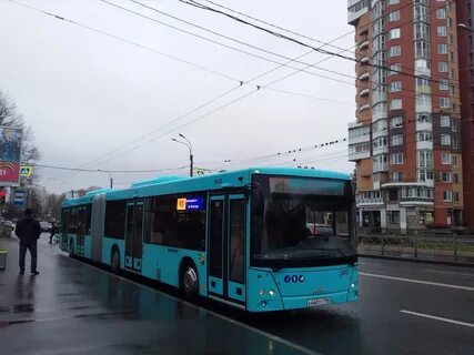 Транспорт 216
