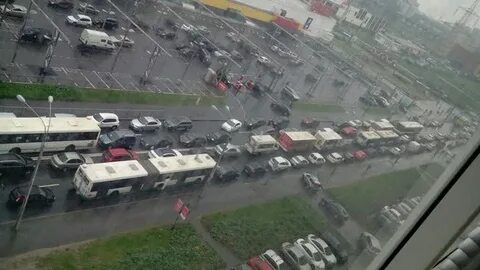 246 автобус купчино