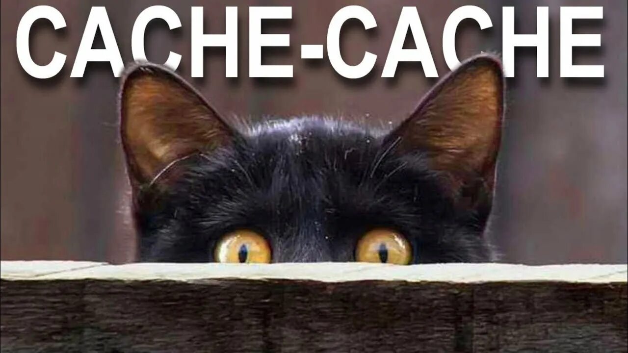 Cache cache тютчев. Cache cache тютчев