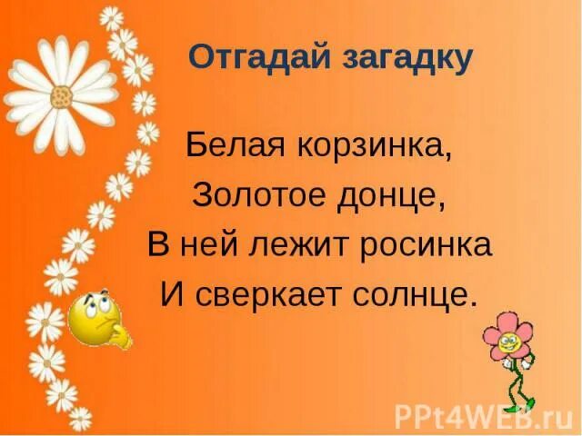 Загадку белая корзинка золотое Донце в ней лежит Росинка. Отгадать загадку белая корзинка, золотое Донце. Загадка в ней лежит Росинка и сверкает солнце. Загадка белая корзинка.