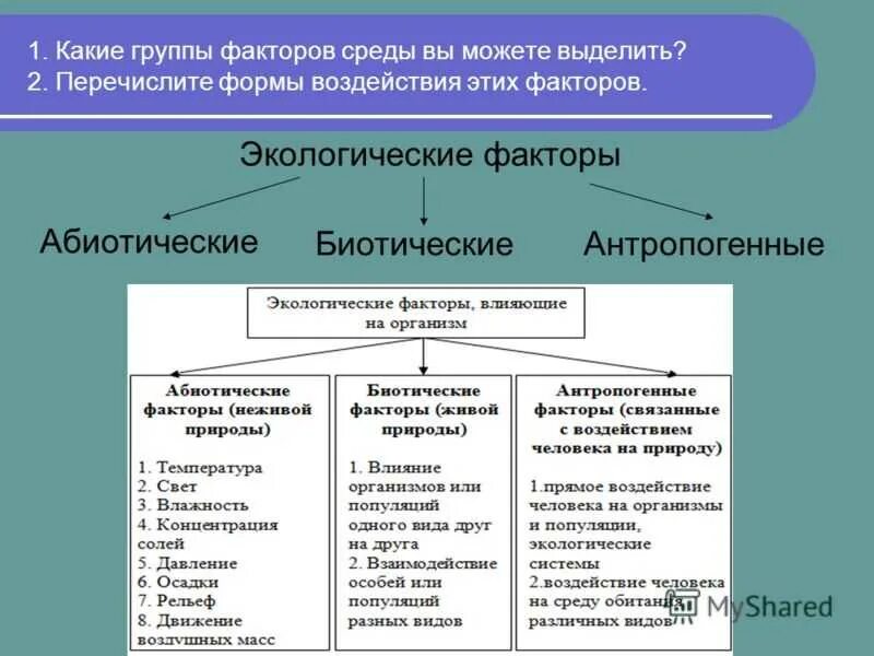 Совокупность факторов абиотической среды. Экологические факторы схема биология. факторы окружающей среды химические физические биологические. биотические экологические факторы. абиотические биотические и антропогенные факторы таблица.