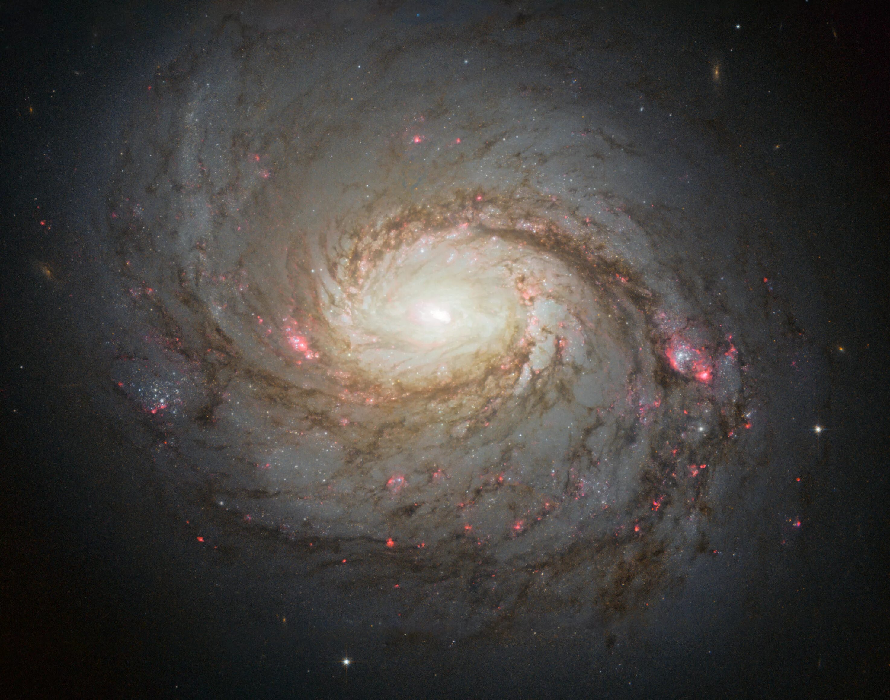 Самые большие космические объекты. M 77 (Галактика). Галактика Мессье 77. Галактика Млечный путь телескоп Хаббл. Галактика NGC 1055.