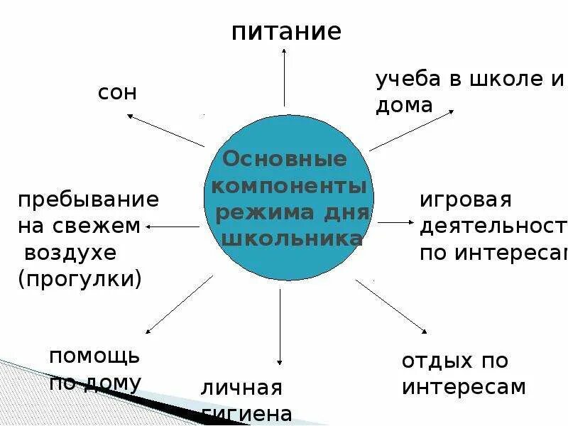 Перечислите элементы составляющие. Основные элементы режима дня. Основные составляющие режима дня. Осервные элементы режима дея. Составляющие компоненты режима дня.