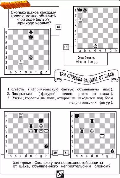 сколько шахов