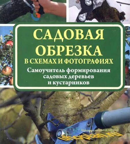 Обрезка плодовых деревьев книга. Формирование и обрезка садовых деревьев книга. книги по обрезке плодовых деревьев. самоучитель обрезка садовых деревьев.