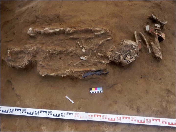 раскопки в новосибирске на левом берегу оби. бородовский археолог. археологи новосибирск. бвл новосибирск археологи. музей истории культуры народов сибири и дальнего востока новосибирск.