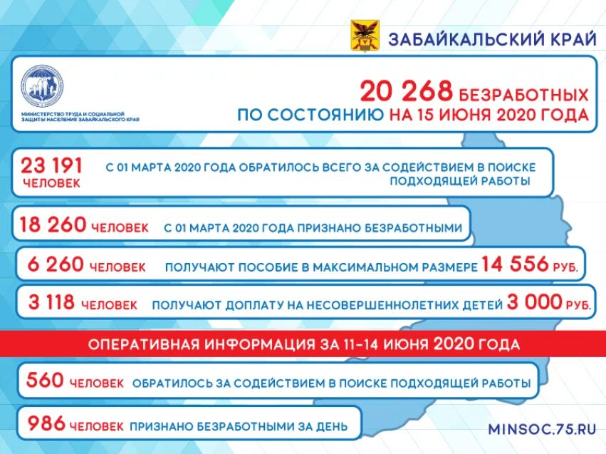 Мрот в забайкальском крае 2024 году. Министерство труда и социальной защиты Забайкальского края. Выплаты безработным на несовершеннолетних детей. Структура социальной защиты населения Забайкальского края. Пособие по безработице в Забайкалье.