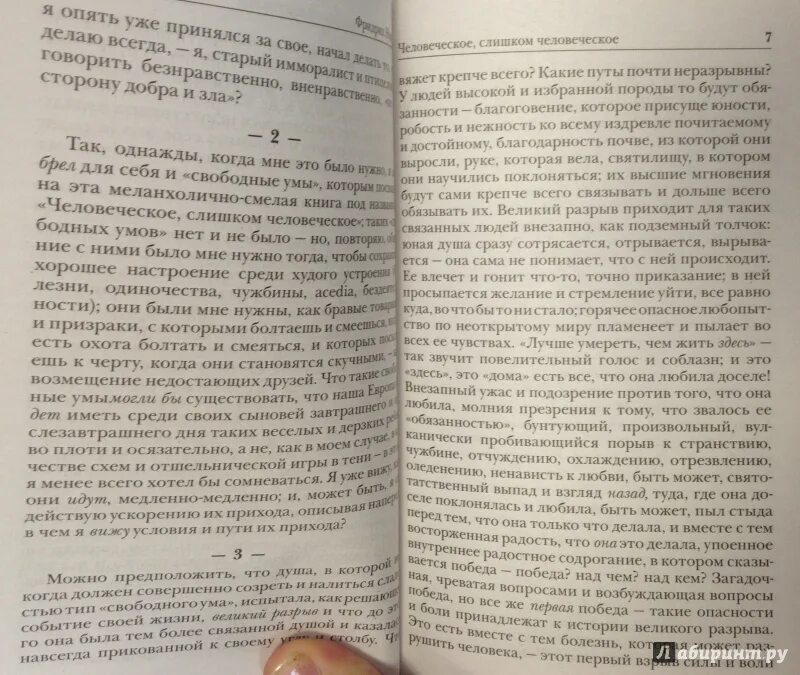 Книга о душе человека. Человеческое слишком. Человеческое слишком человеческое. Человеческое, слишком человеческое Ницше кратко.